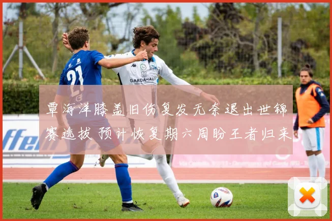 覃海洋膝盖旧伤复发无奈退出世锦赛选拔 预计恢复期六周盼王者归来